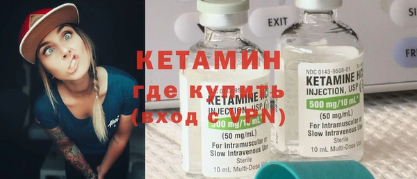 крисы Бородино