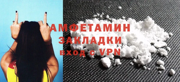 крисы Бородино
