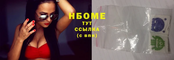 крисы Бородино