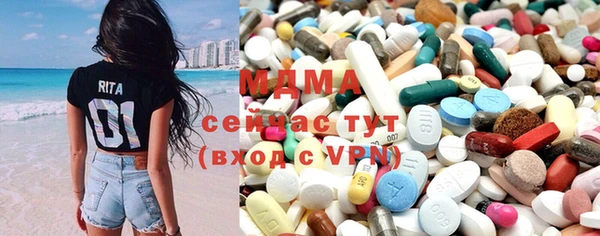 крисы Бородино
