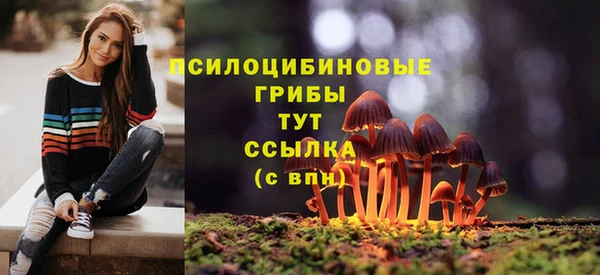 крисы Бородино