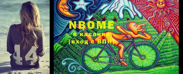 крисы Бородино