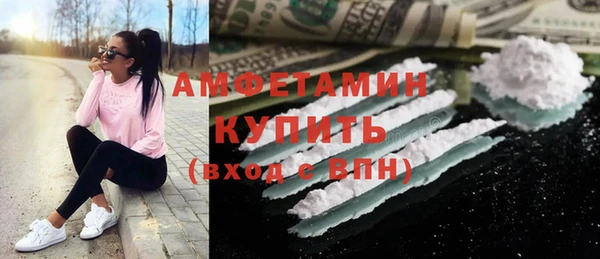 крисы Бородино