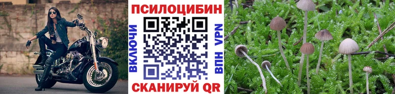 Псилоцибиновые грибы мицелий  Купить закладки  Ленинградская 