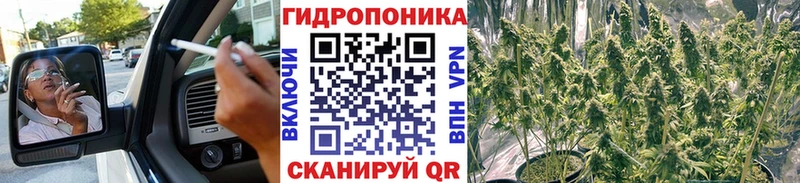 Каннабис LSD WEED  Купить  Ленинградская 